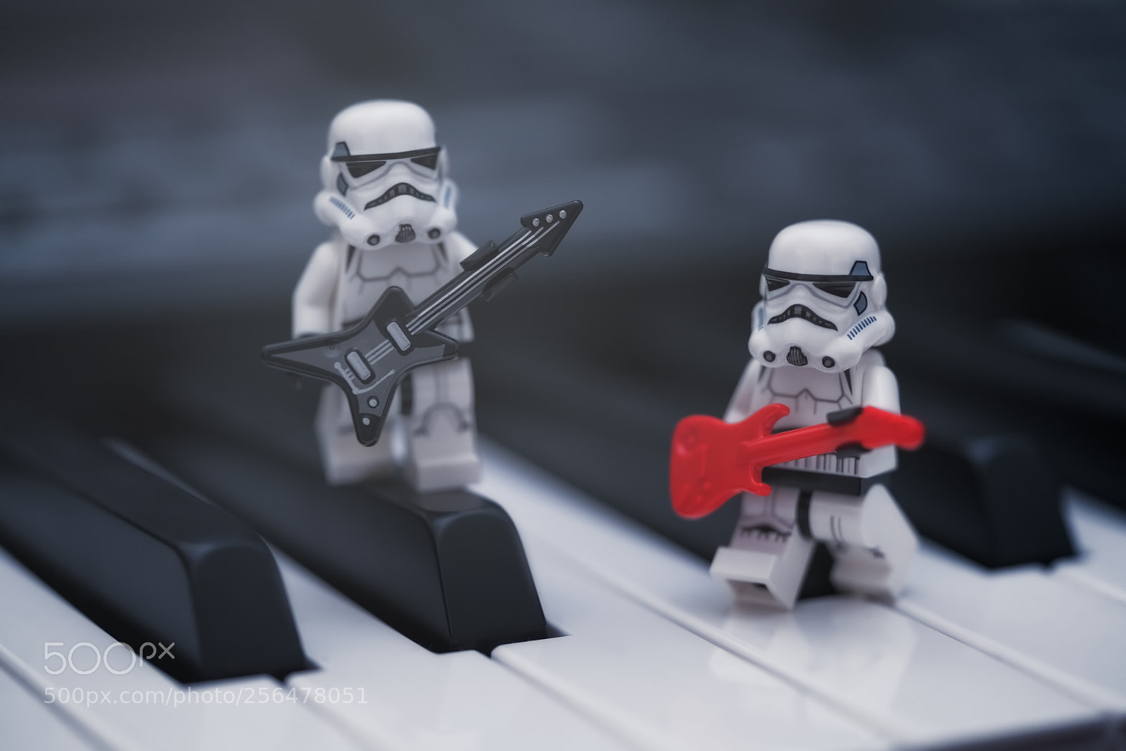 Sony a7R II sample photo. May the 4th be photography