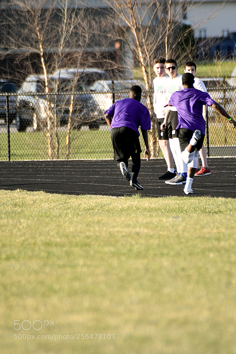 Nikon D500 sample photo. 4-30_0974.jpg photography
