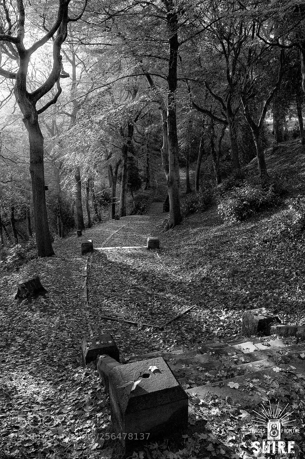 Nikon D300 sample photo. Footpath photography