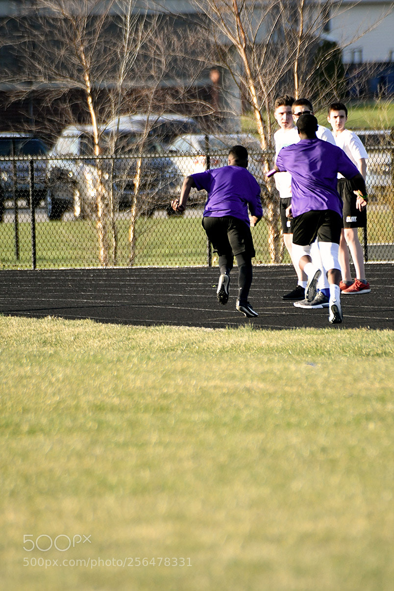 Nikon D500 sample photo. 4-30_0975.jpg photography