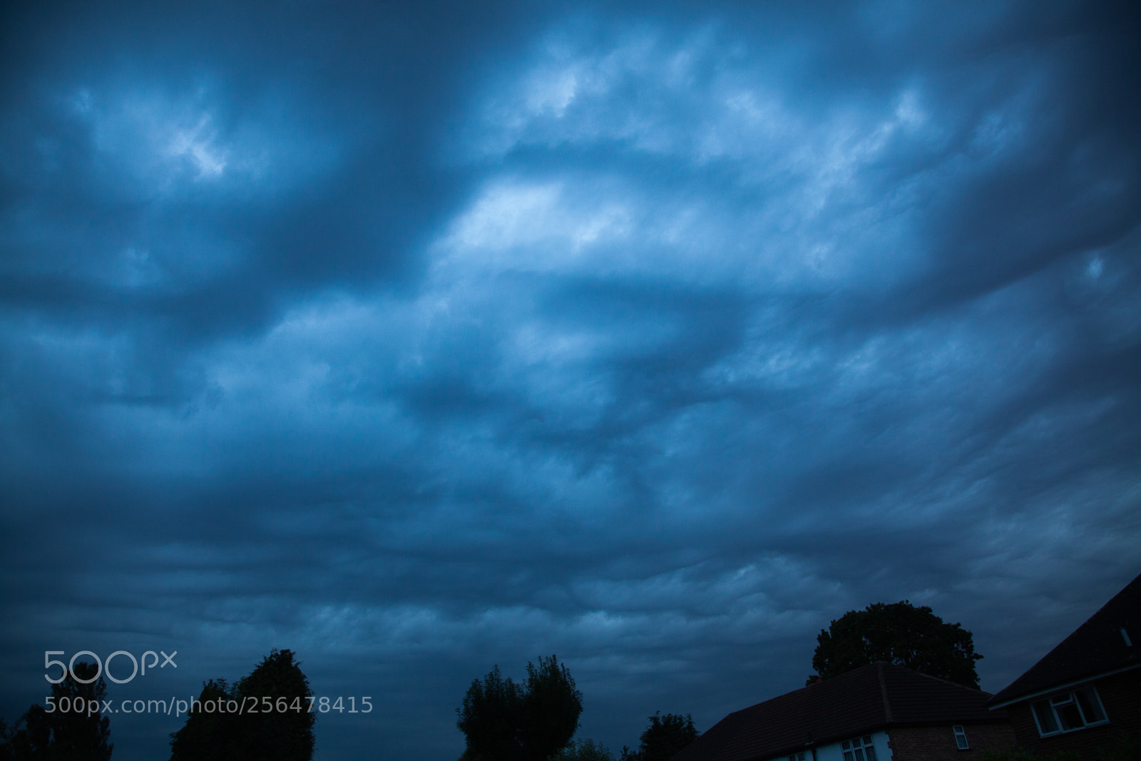 Canon EOS 5D Mark II sample photo. Untitled photography