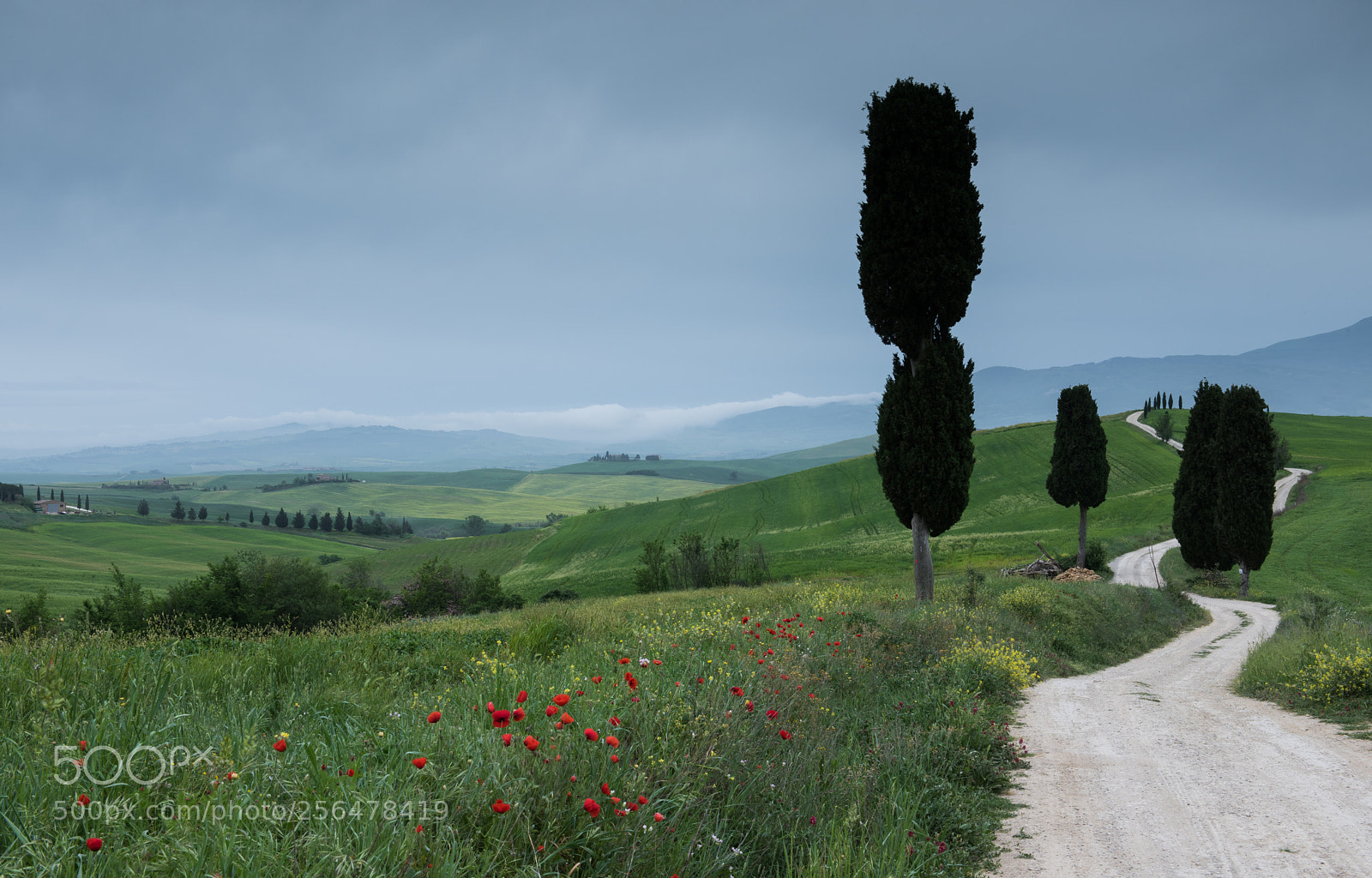 Nikon D810 sample photo. The long and winding photography