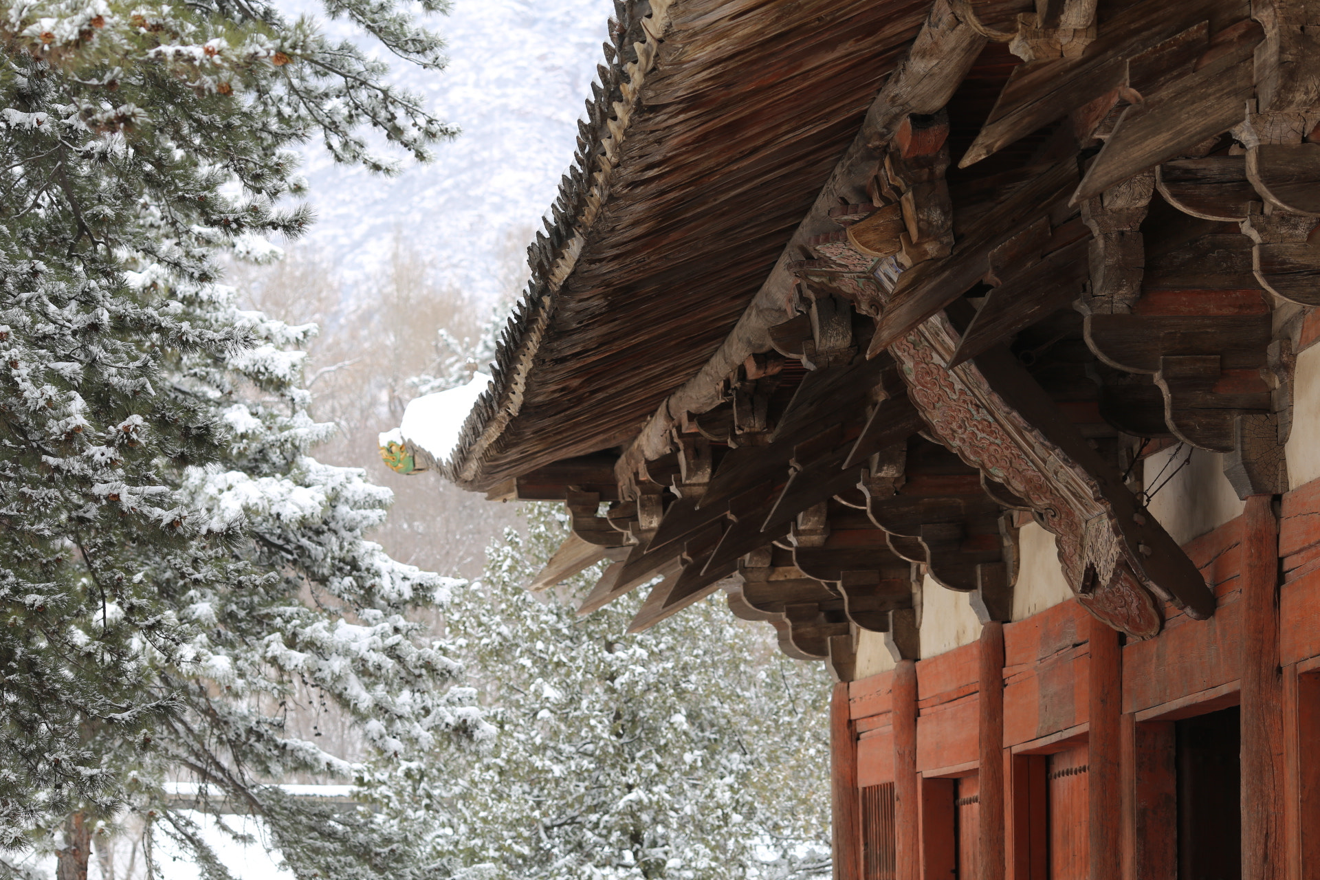 Canon EF 135mm F2L USM sample photo
