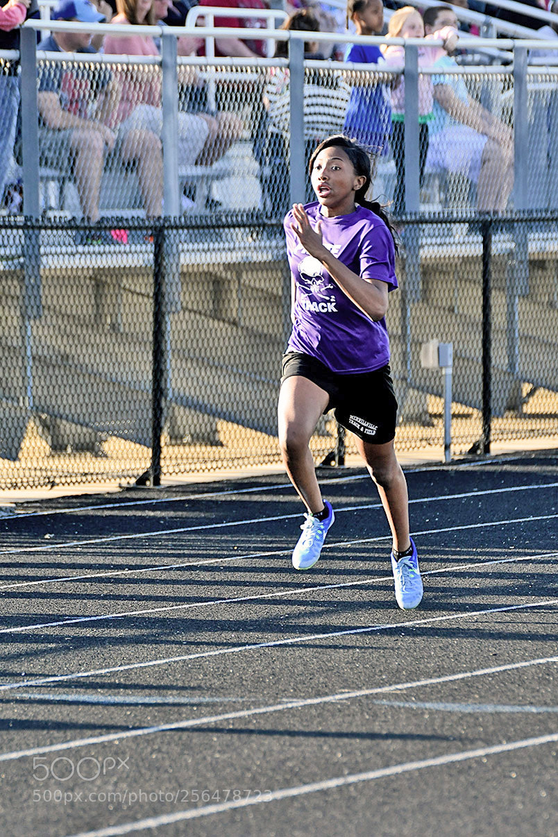 Nikon D500 sample photo. 4-30_0684.jpg photography