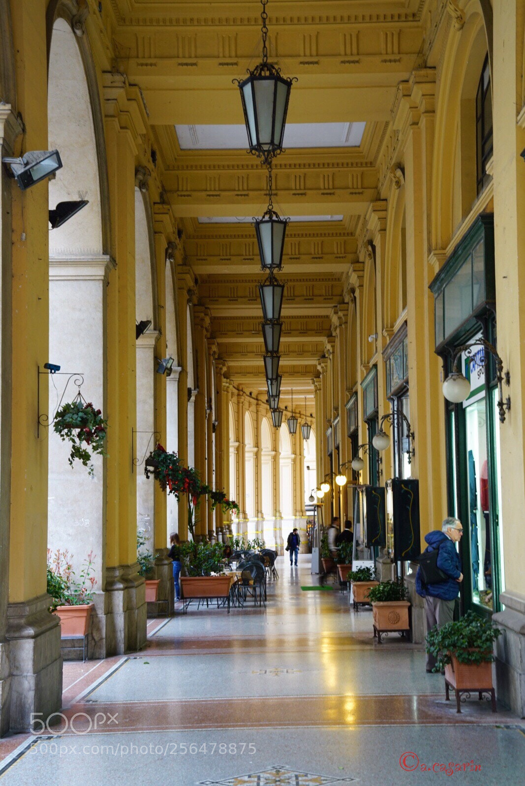 Sony a7R II sample photo. Walking along the gallery photography