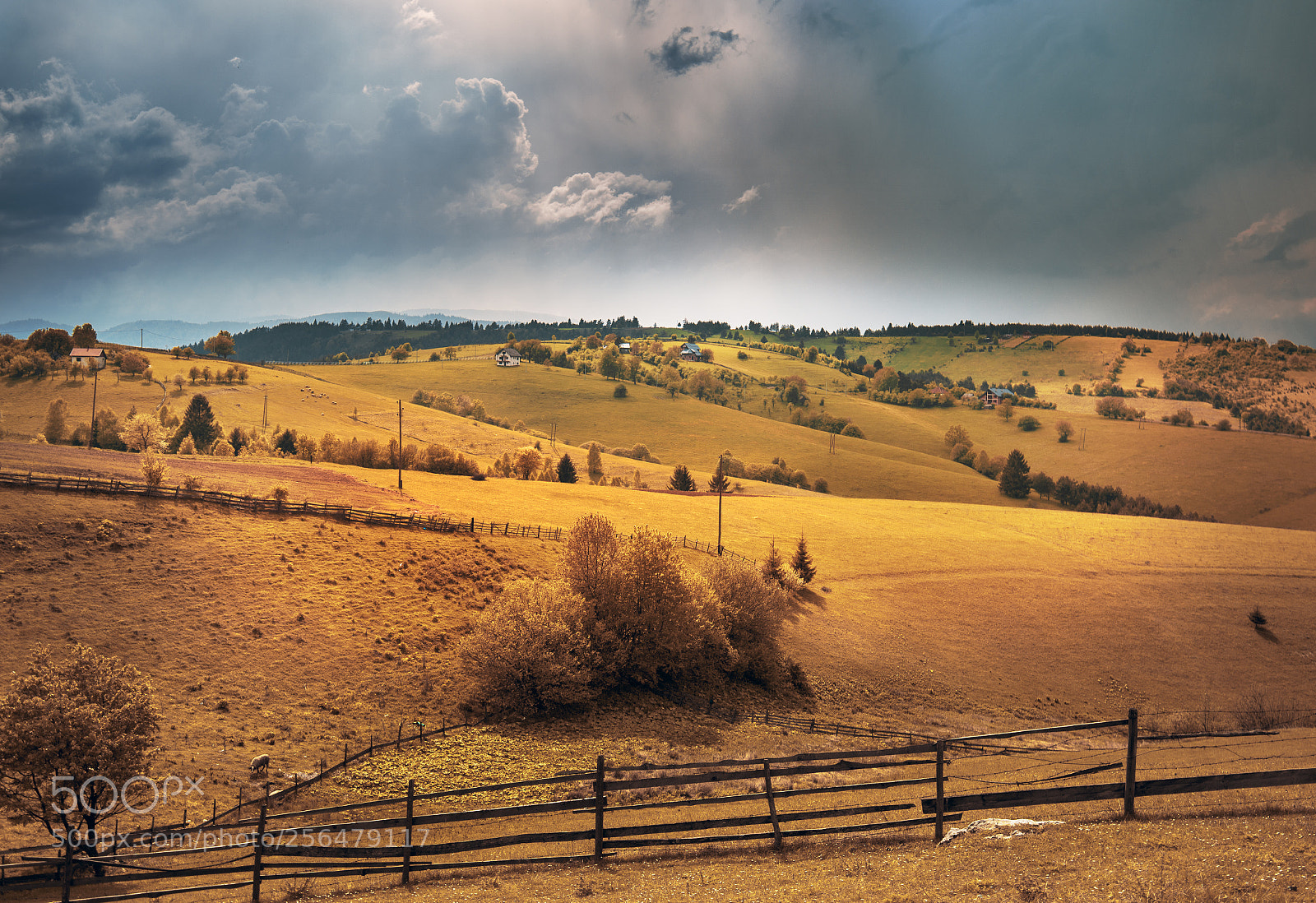 Nikon D610 sample photo. Countryside photography