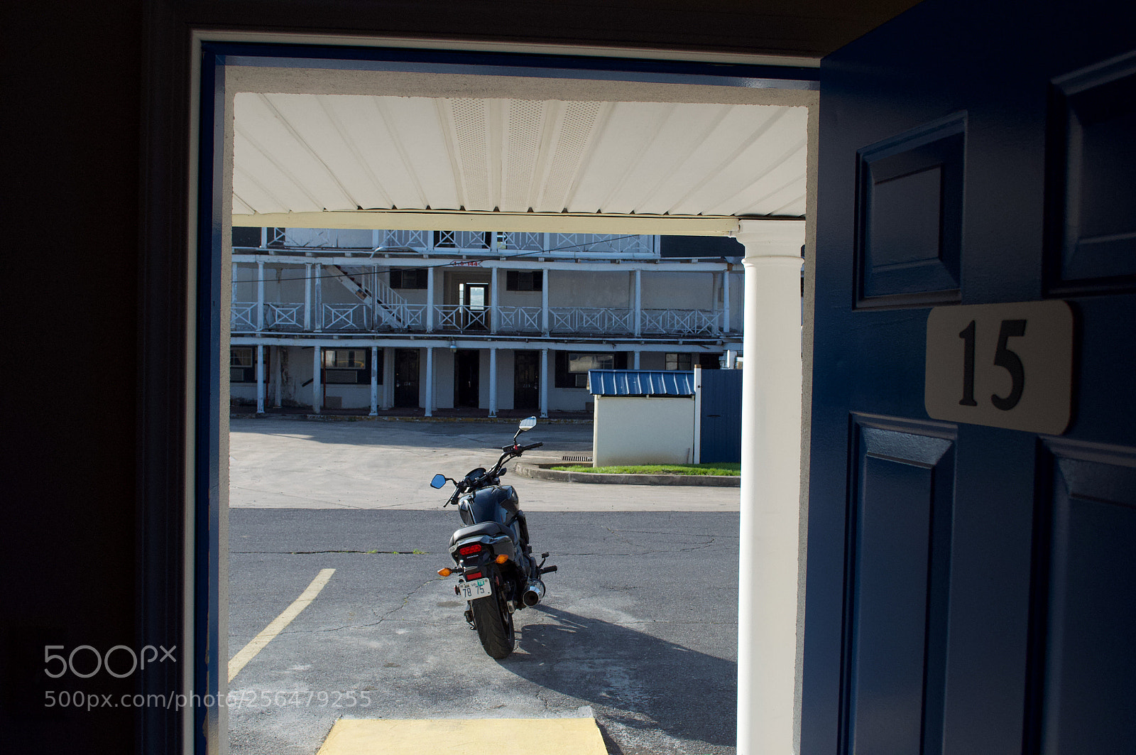 Nikon D5000 sample photo. Life and death in photography