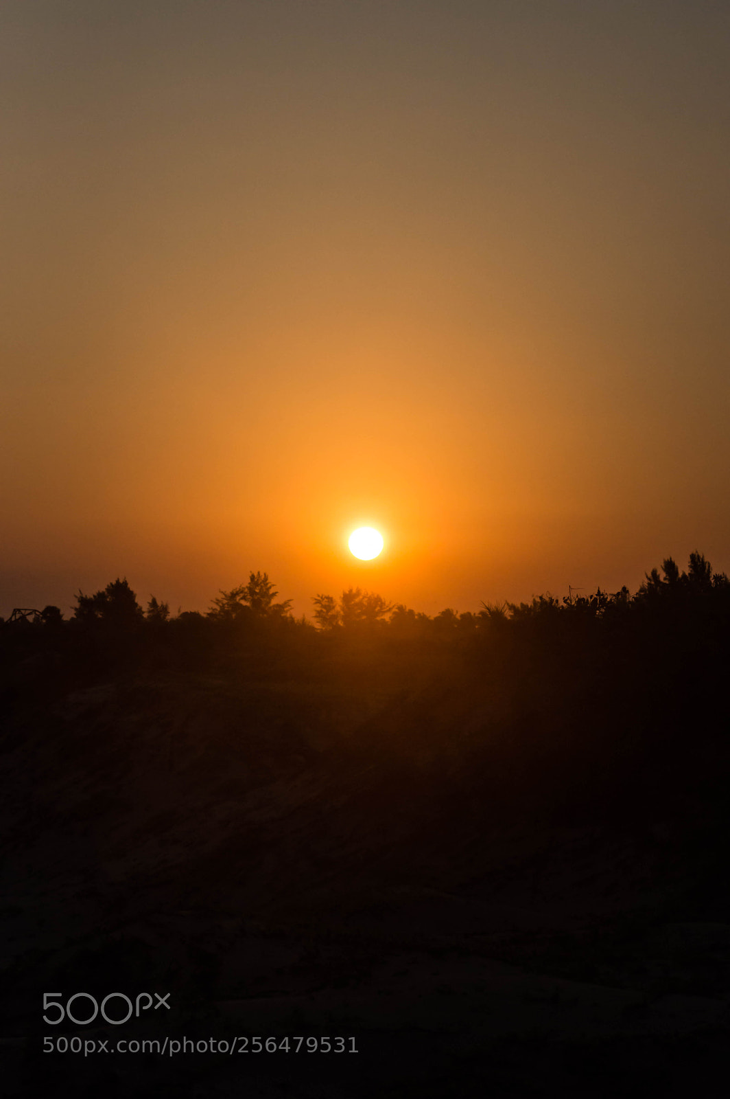 Nikon D3200 sample photo. Sunset at arugambay photography