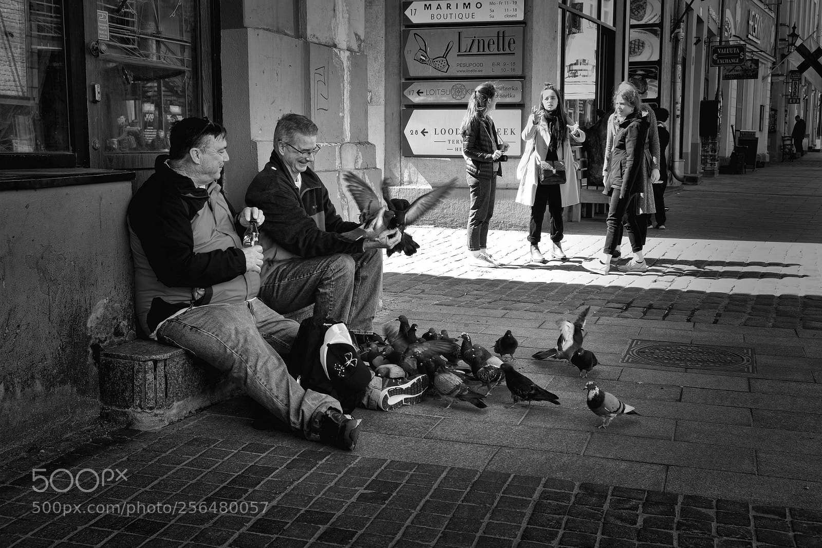 Fujifilm X-T20 sample photo. Pigeon attack photography