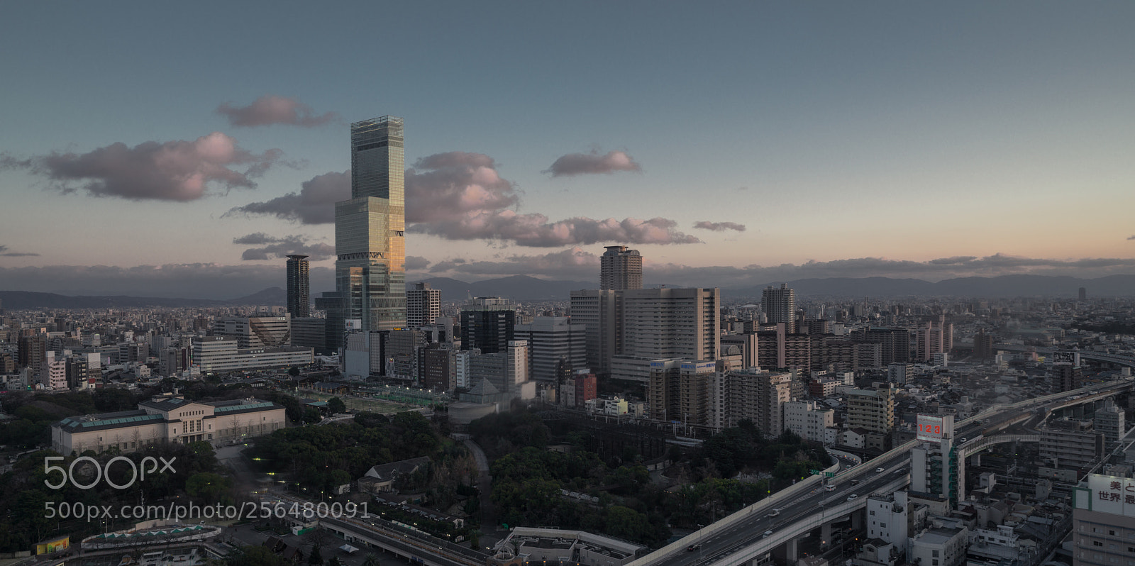 Sony a7R II sample photo. ハルカス photography