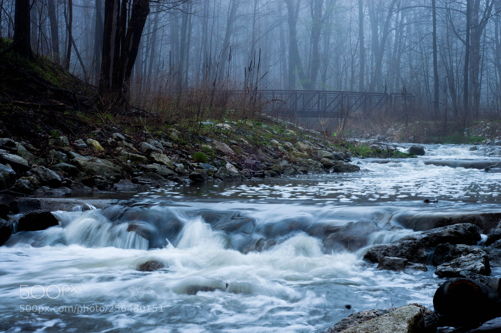 Nikon D3200 sample photo. Mill creek bridge, 2018 spring photography