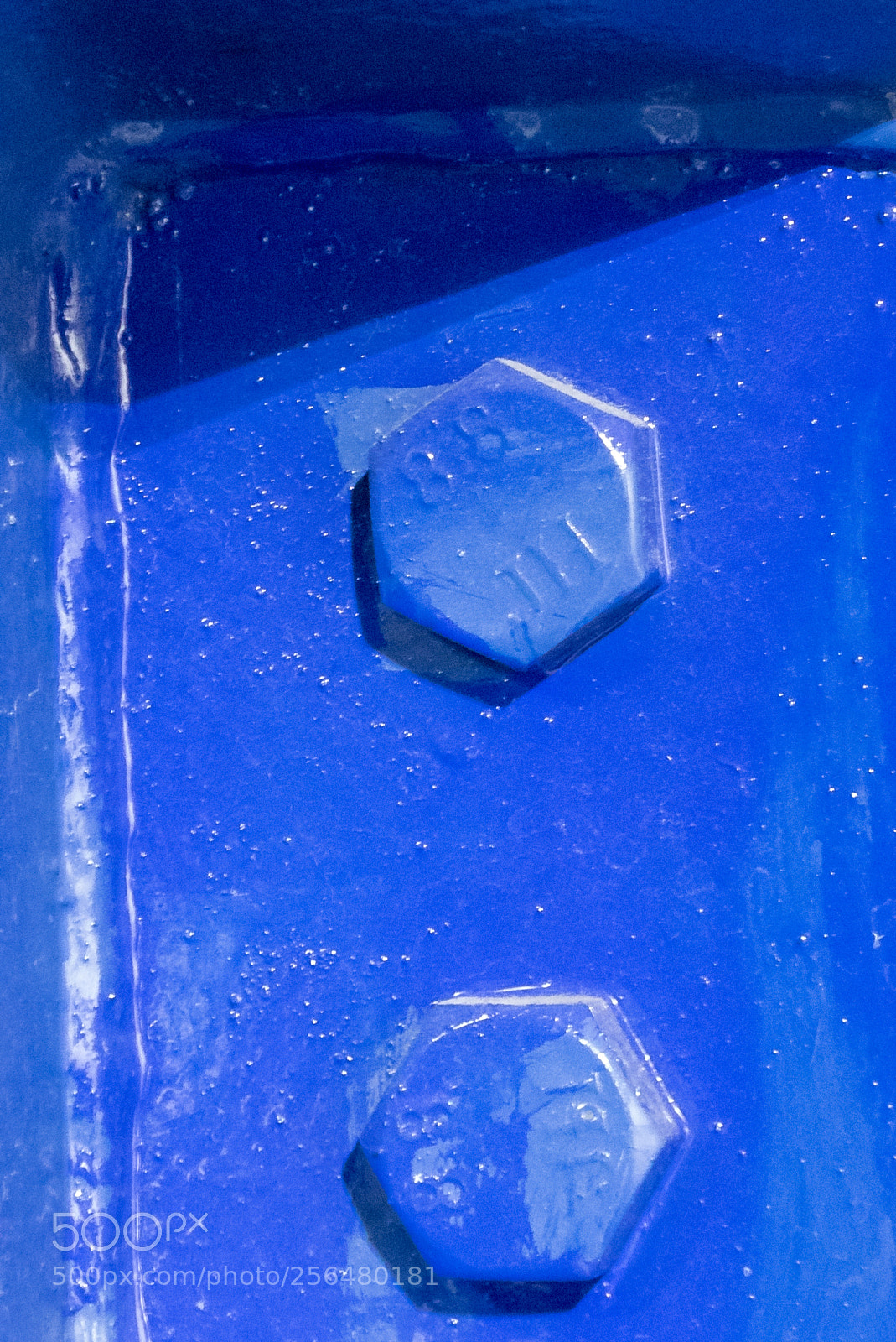 Panasonic Lumix DMC-ZS50 (Lumix DMC-TZ70) sample photo. Blue nuts photography