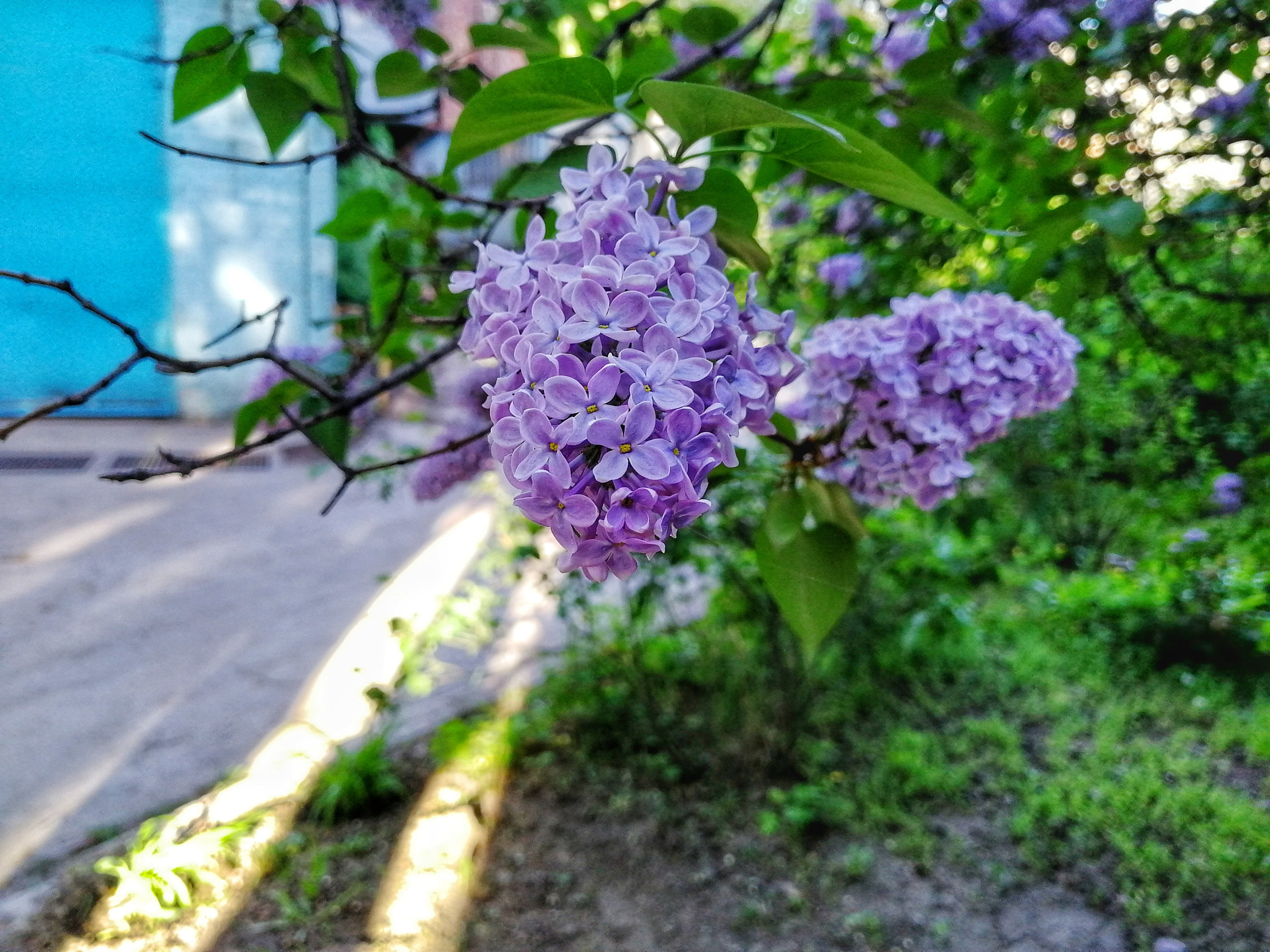 HUAWEI Honor 9 sample photo