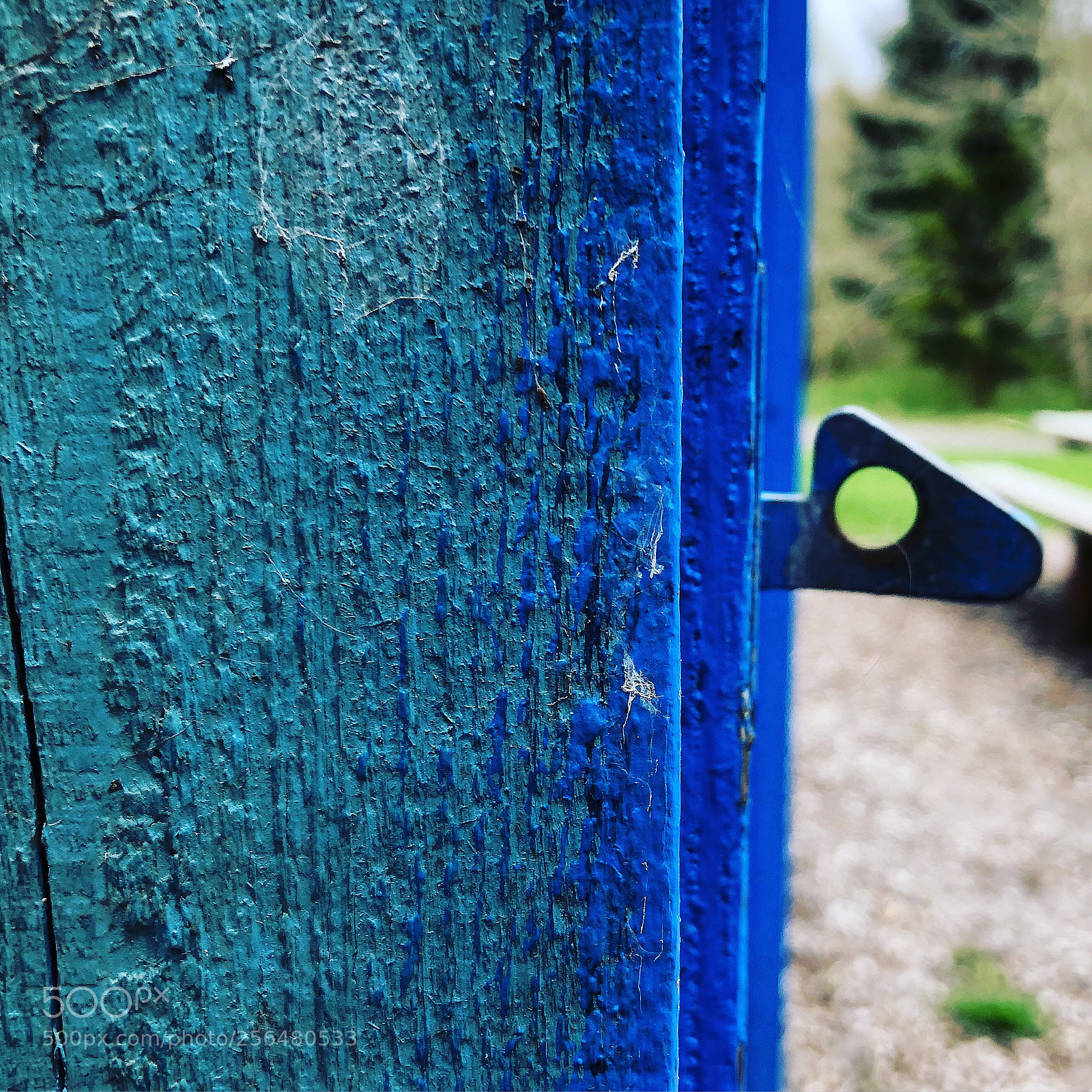 Apple iPhone 8 Plus sample photo. Blue wood  photography