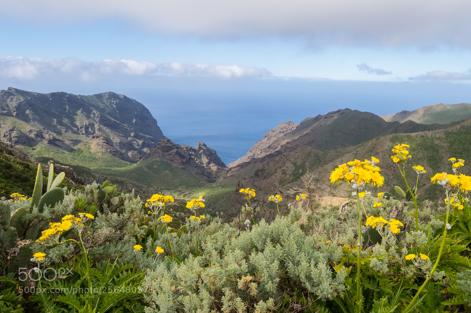 Nikon D3200 sample photo. View of a valley photography