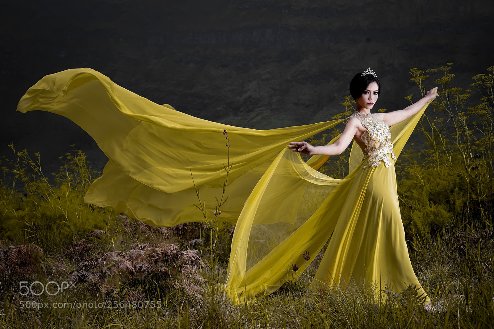 Sony a7 II sample photo. Untitled photography