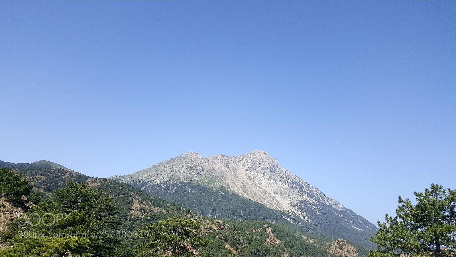 Samsung Galaxy Note5 sample photo. Untitled photography