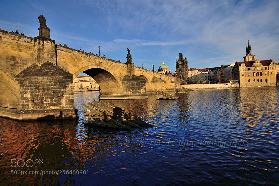 Nikon D610 sample photo. Charles bridge on river photography