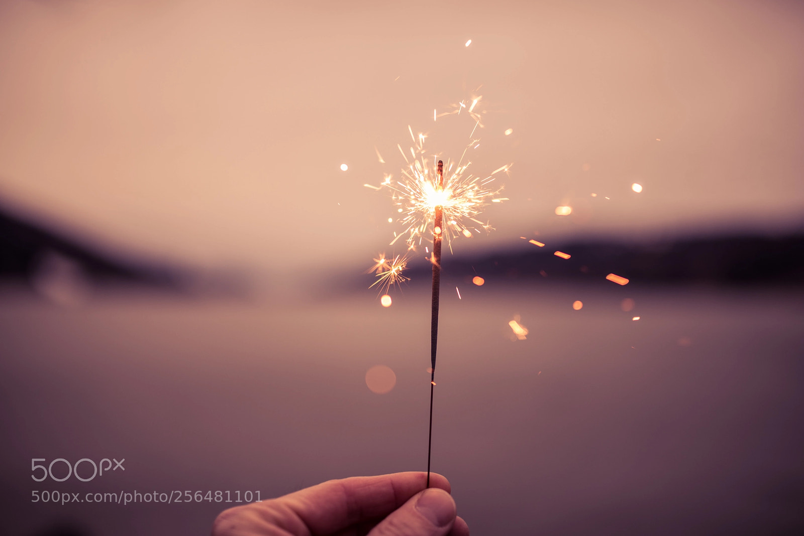 Nikon D750 sample photo. Sparkler photography