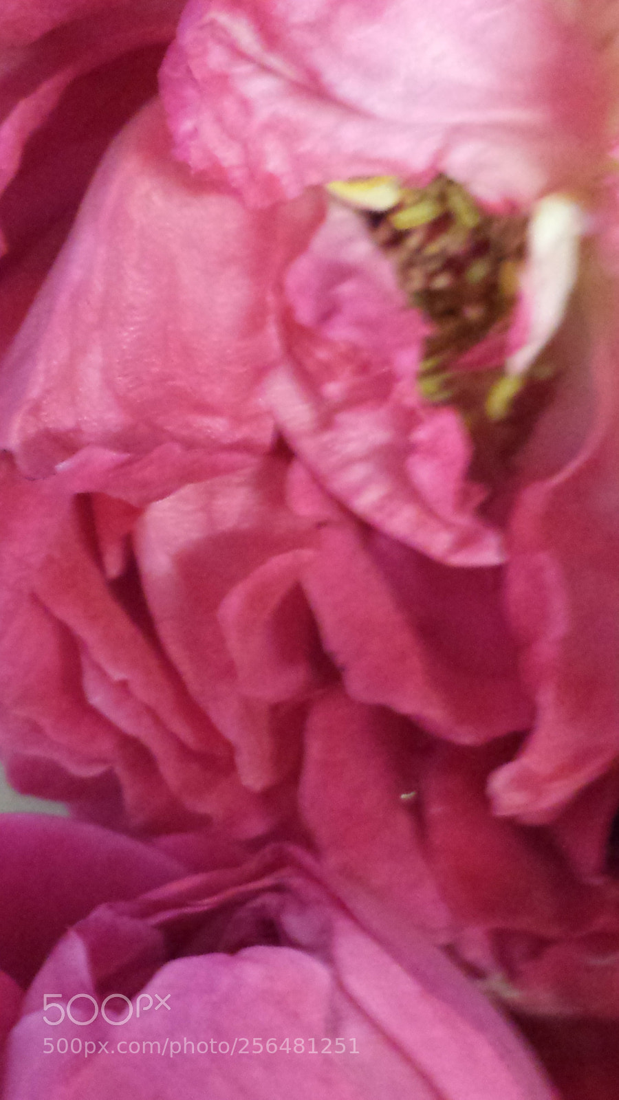 Samsung Galaxy S4 sample photo. Untitled photography