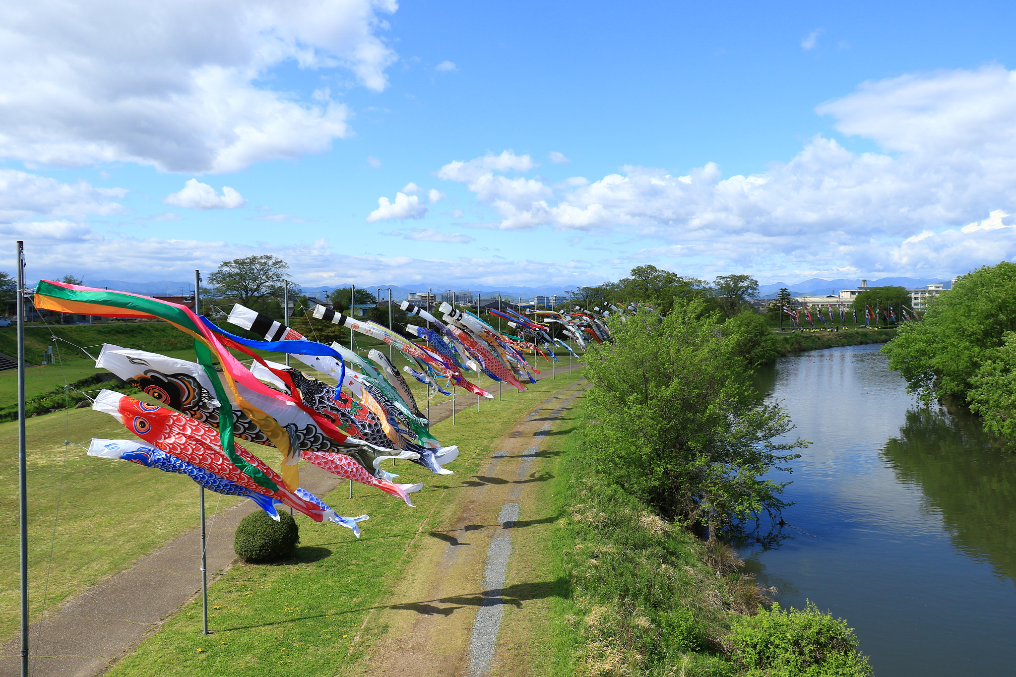 Canon EOS 7D Mark II sample photo. 鯉のぼり  koinobori ① photography