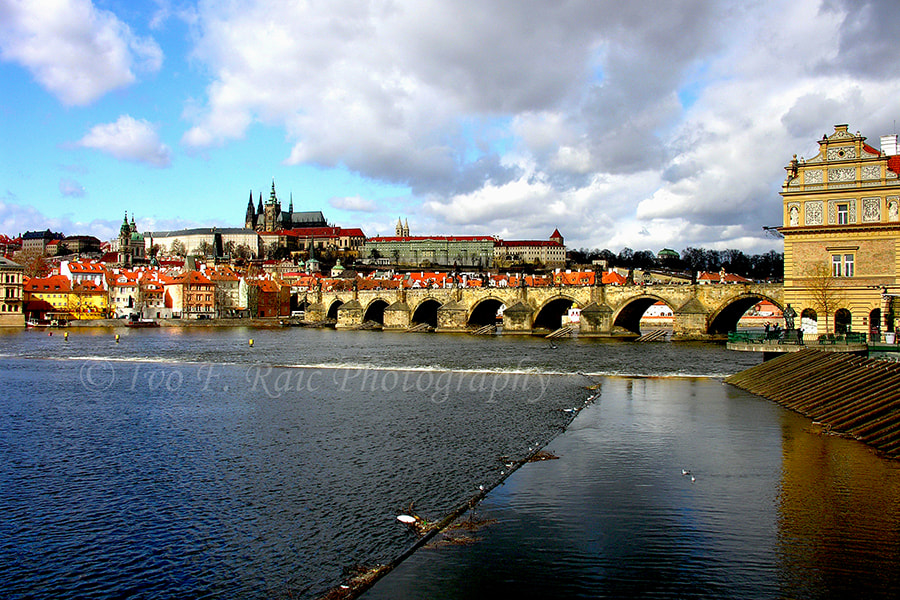 Nikon E8800 sample photo. Charles bridge and prague castle photography