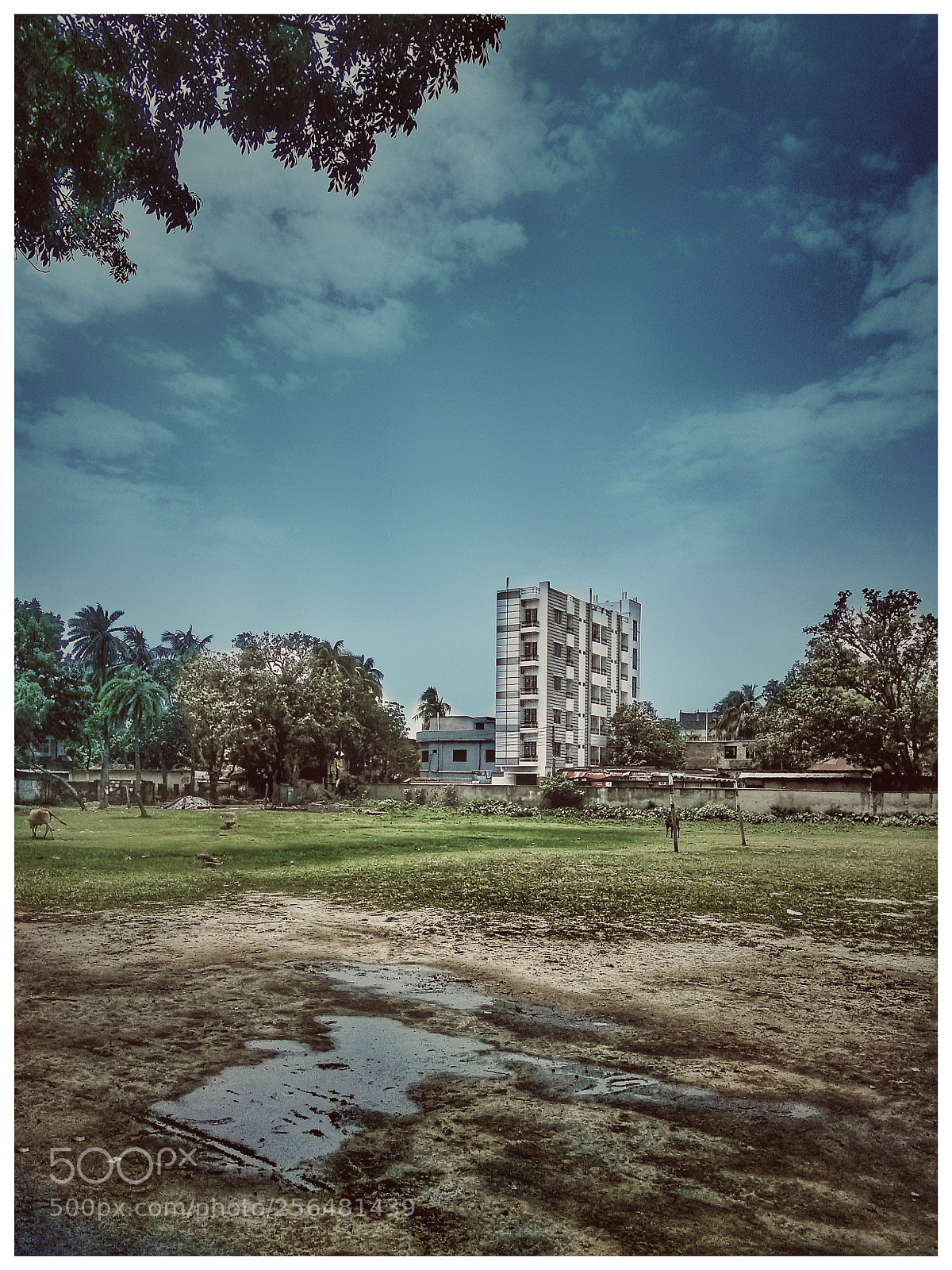 Xiaomi Redmi Note 4 sample photo. Untitled photography