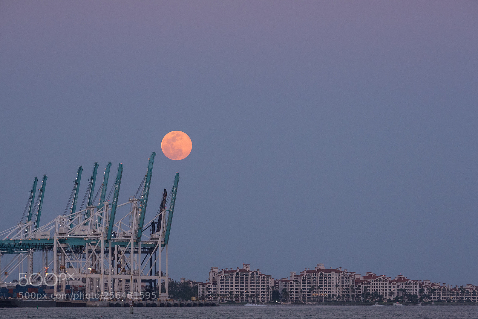 Nikon D750 sample photo. Moonrise photography