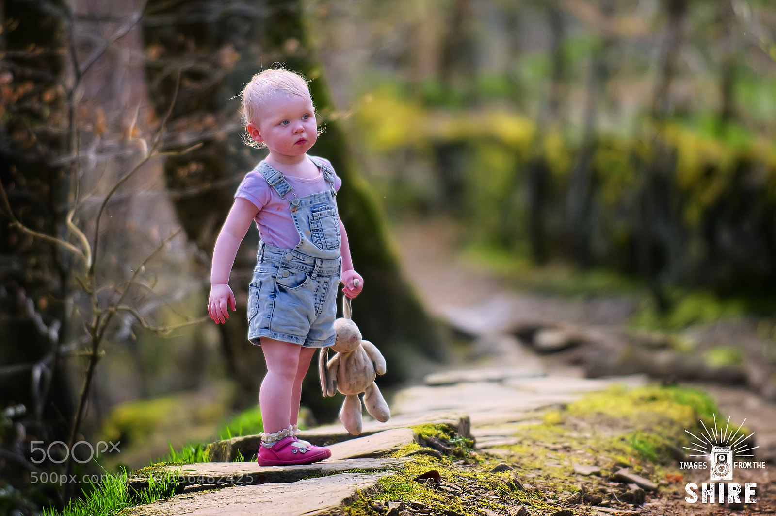 Nikon D300 sample photo. In the wood with photography