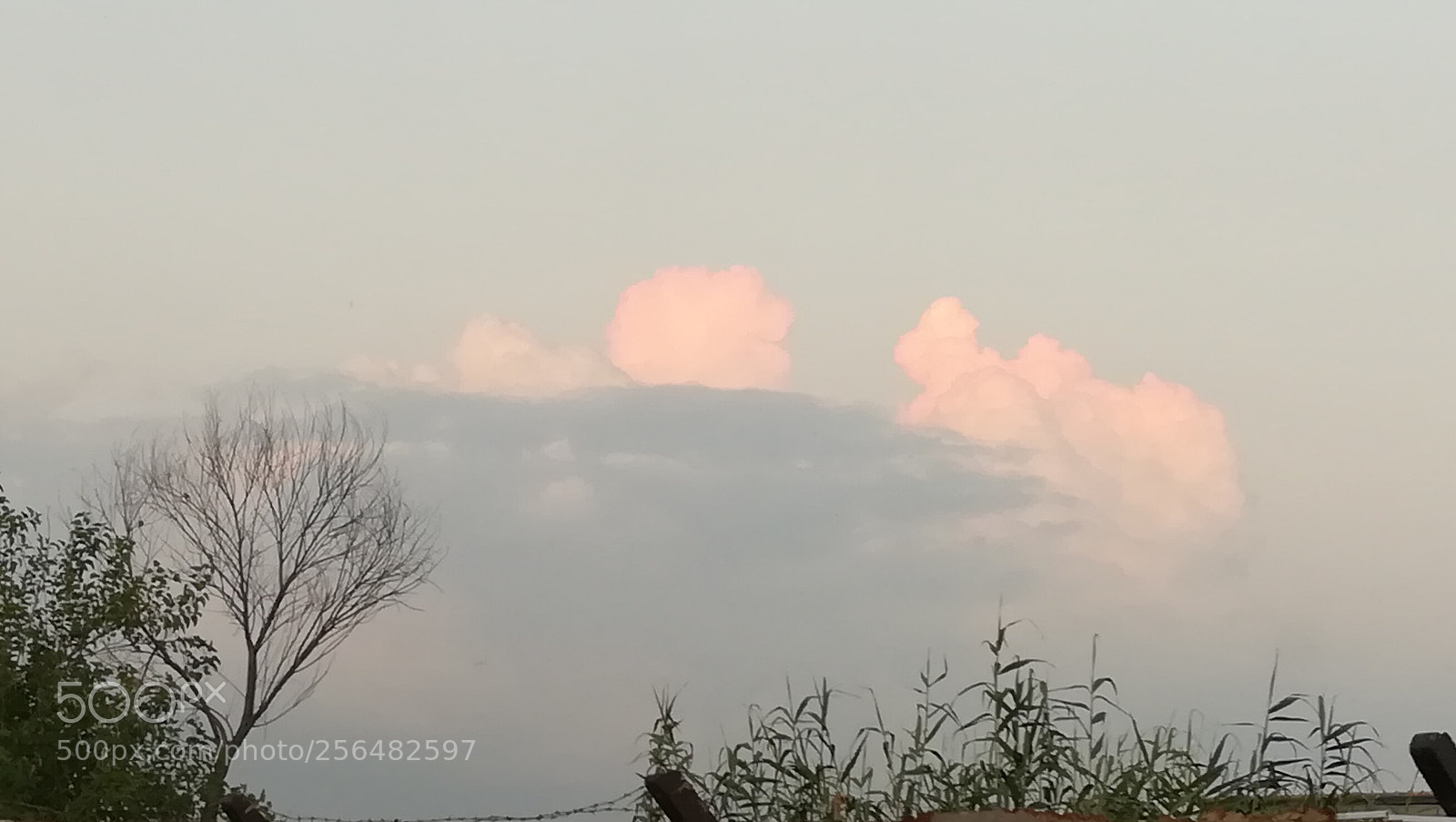 HUAWEI honor 6x sample photo. Clouds of may photography