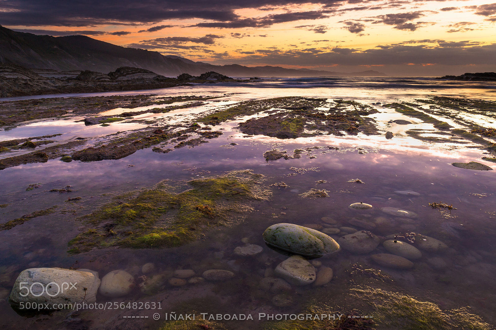 Canon EOS 6D sample photo. Purple coast photography