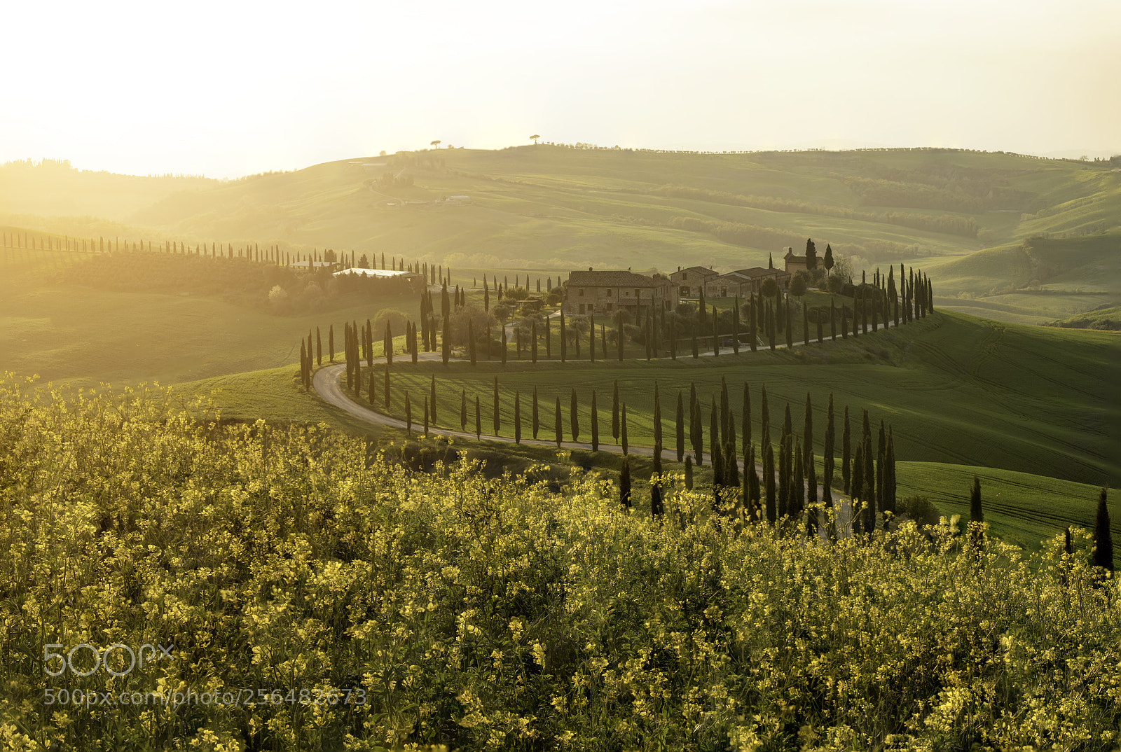Nikon D850 sample photo. La vita è bella photography