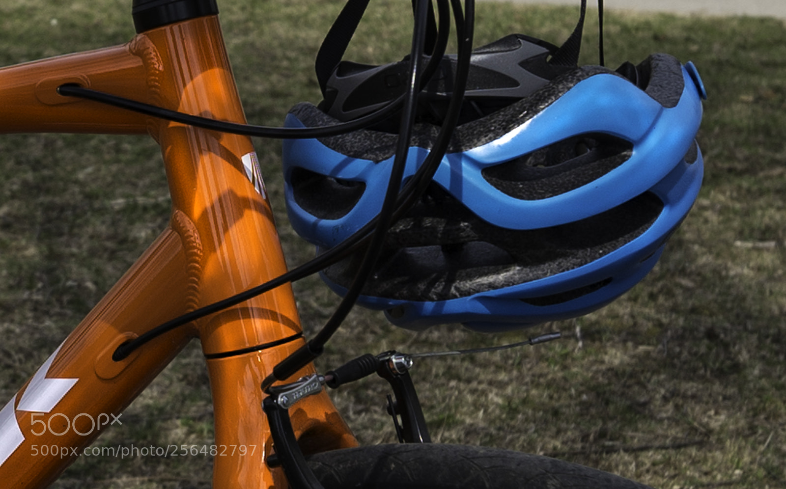 Nikon D610 sample photo. Bike photography