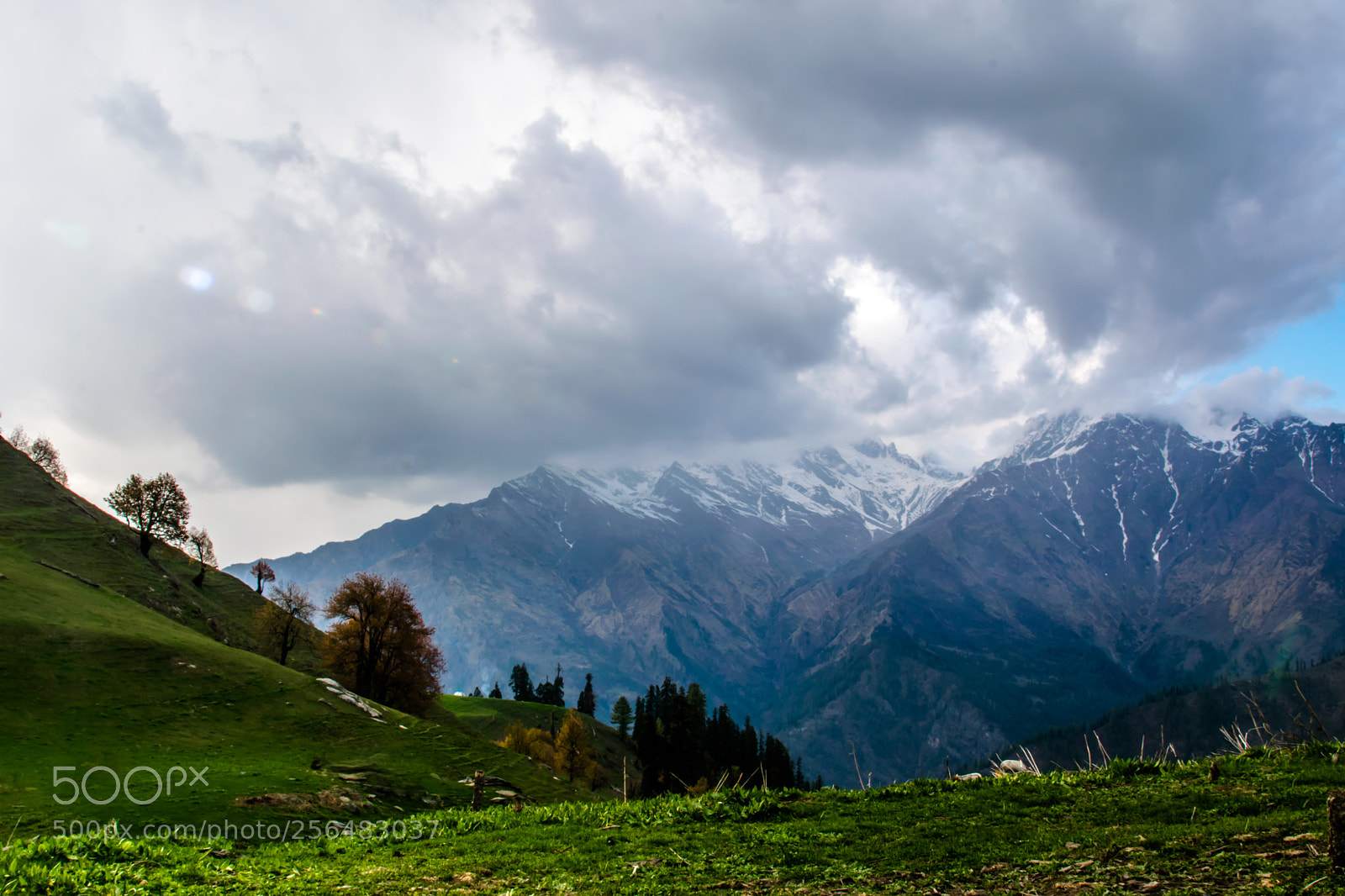 Nikon D5300 sample photo. Buni buni pass photography