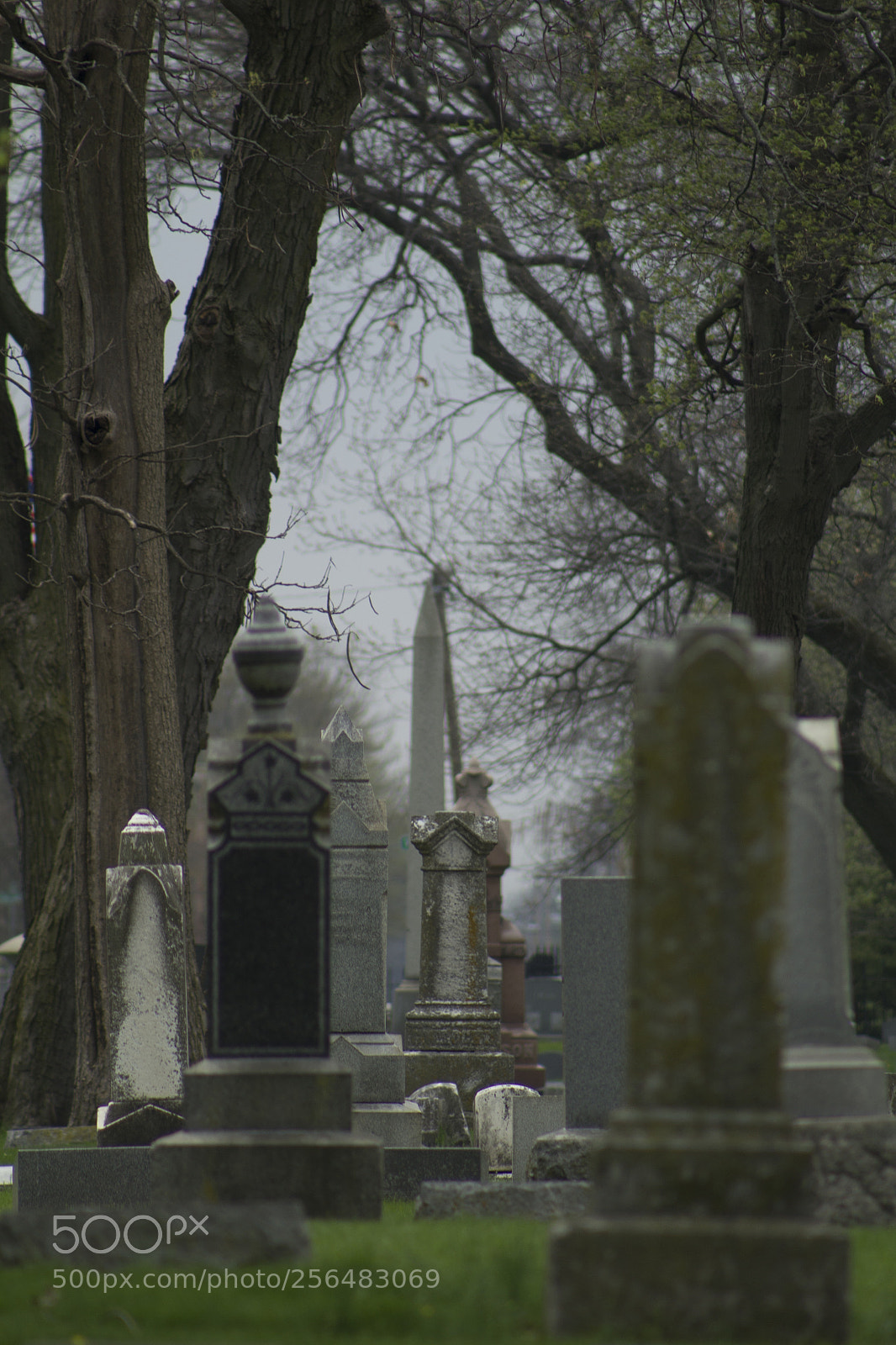 Canon EOS 1200D (EOS Rebel T5 / EOS Kiss X70 / EOS Hi) sample photo. Alignment of gravestones. photography