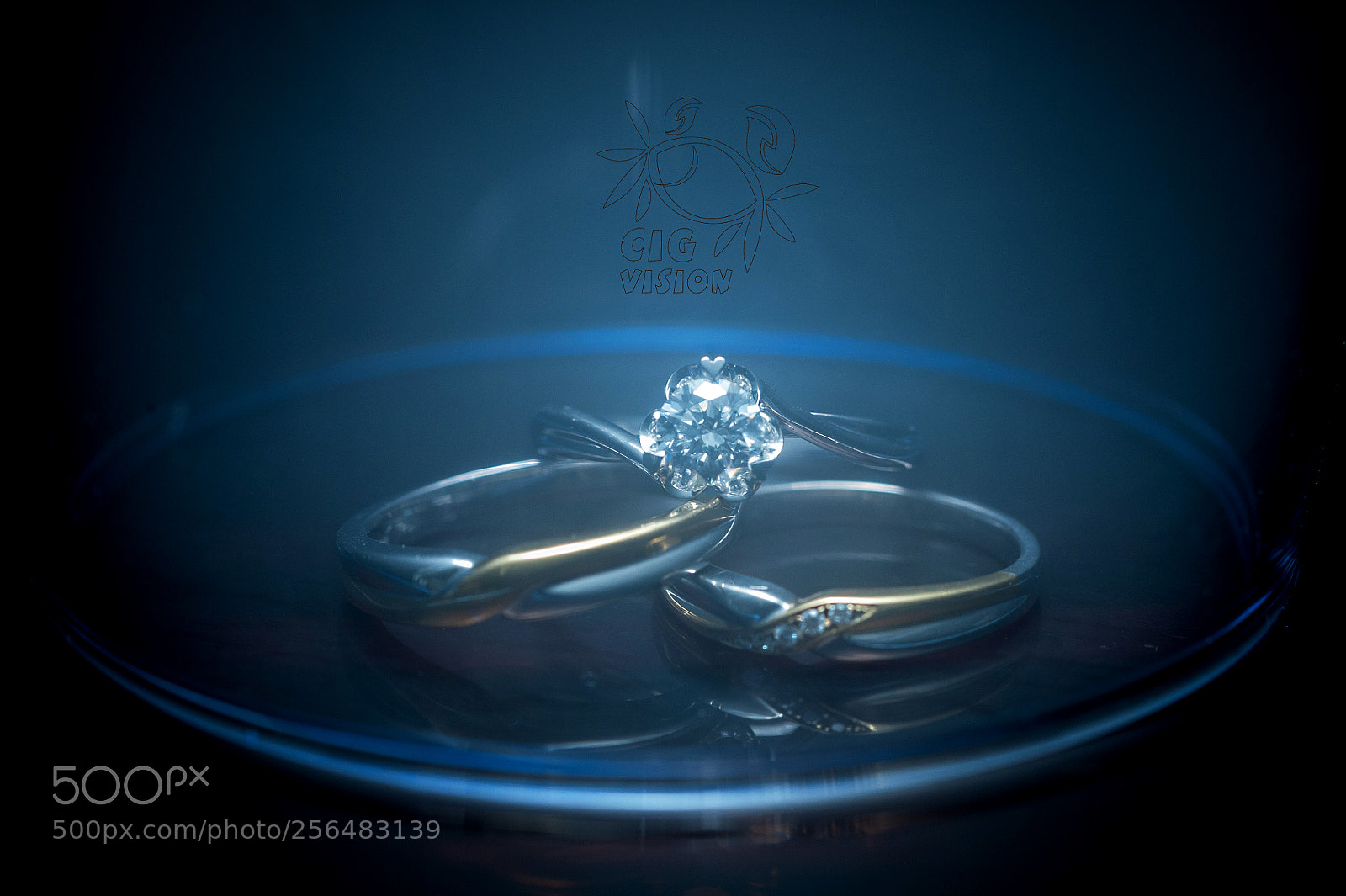 Nikon D700 sample photo. The ring photography