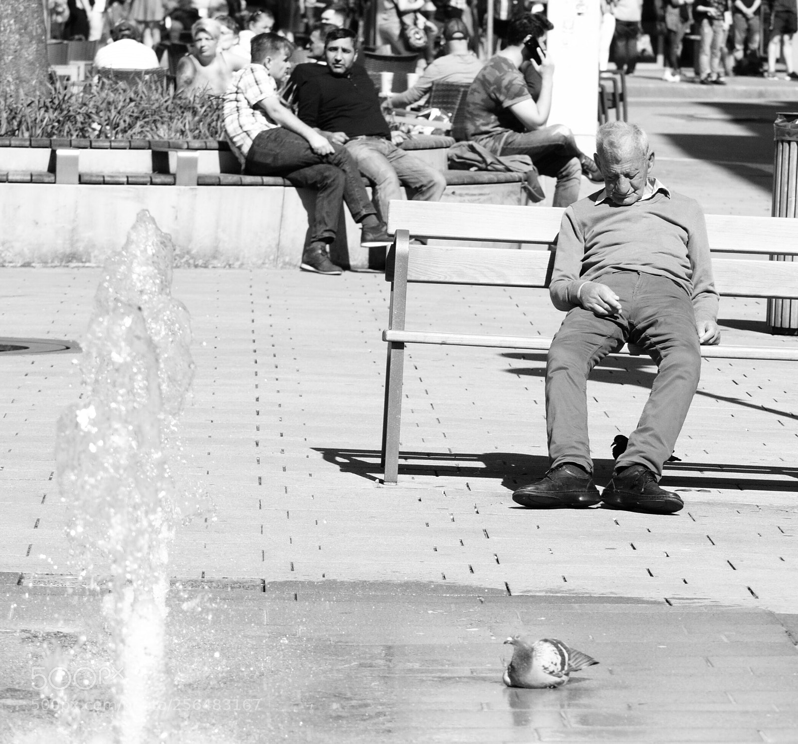 Nikon D3000 sample photo. Untitled photography