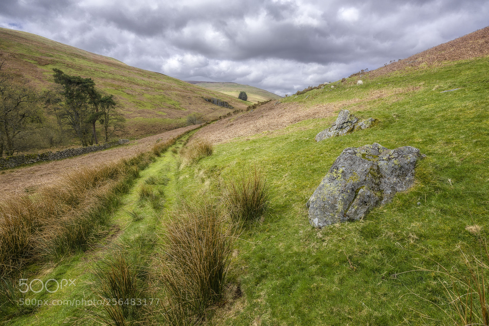 Sony a6000 sample photo. Cwm rhiwiau photography