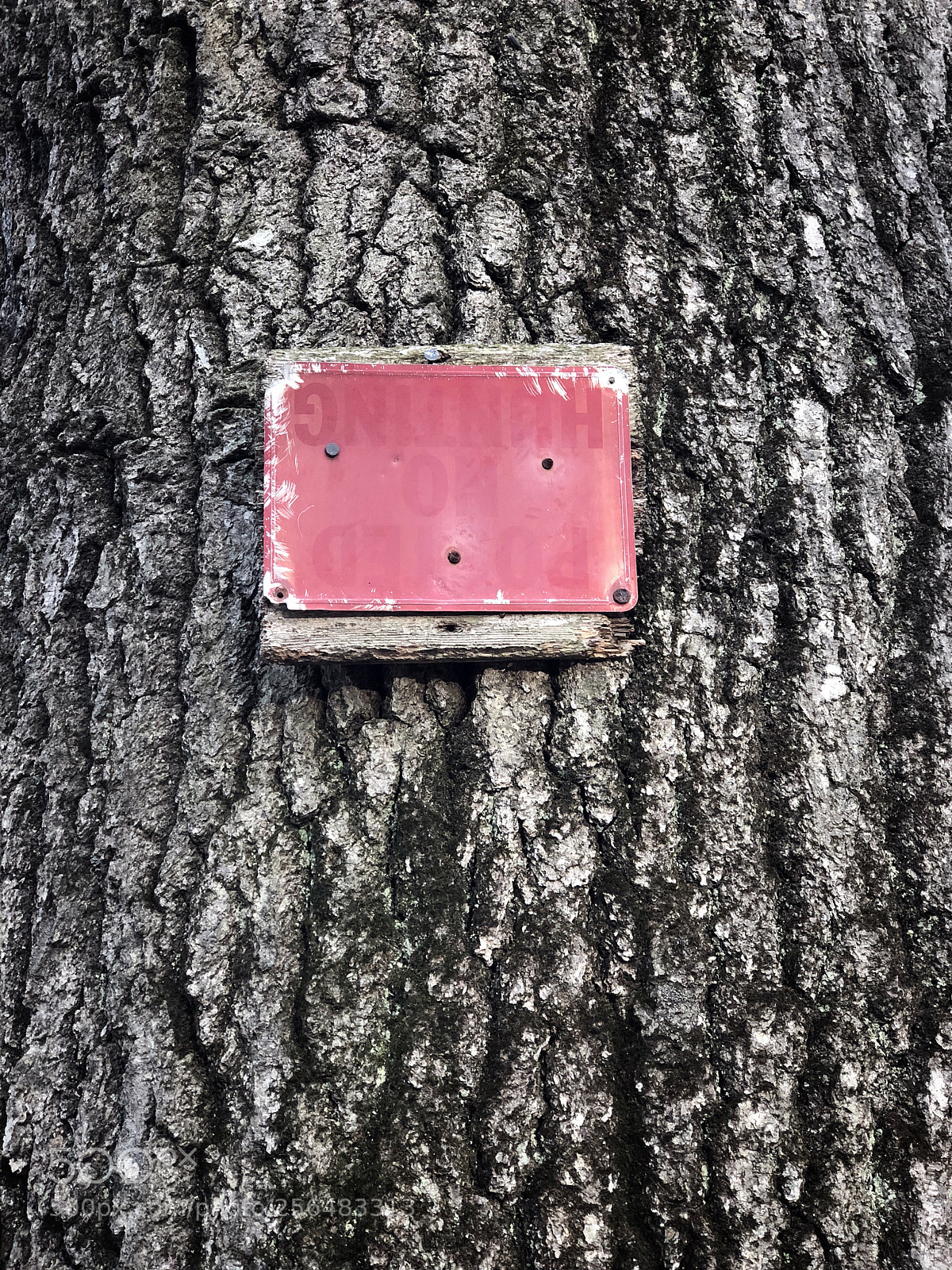 Apple iPhone 8 Plus sample photo. Faded anti-hunting sign photography