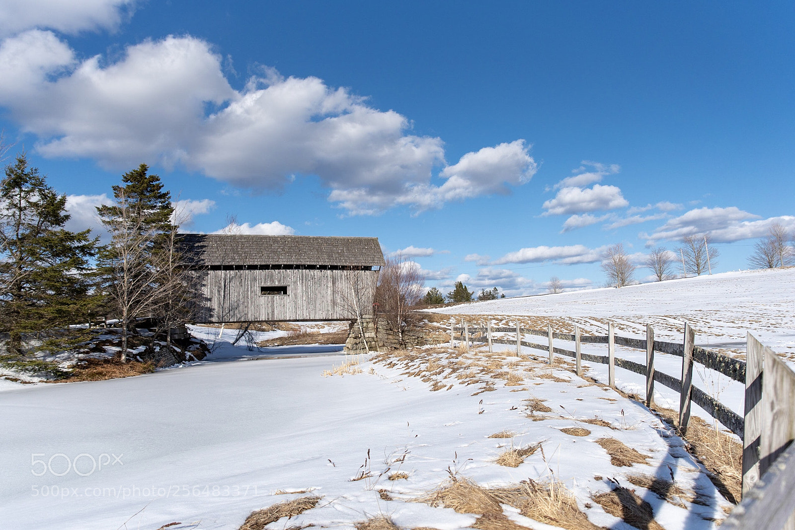 Nikon D750 sample photo. Blue skies and puffy photography