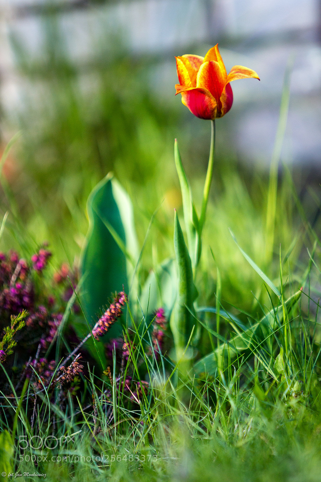 Canon EOS 6D sample photo. :) photography