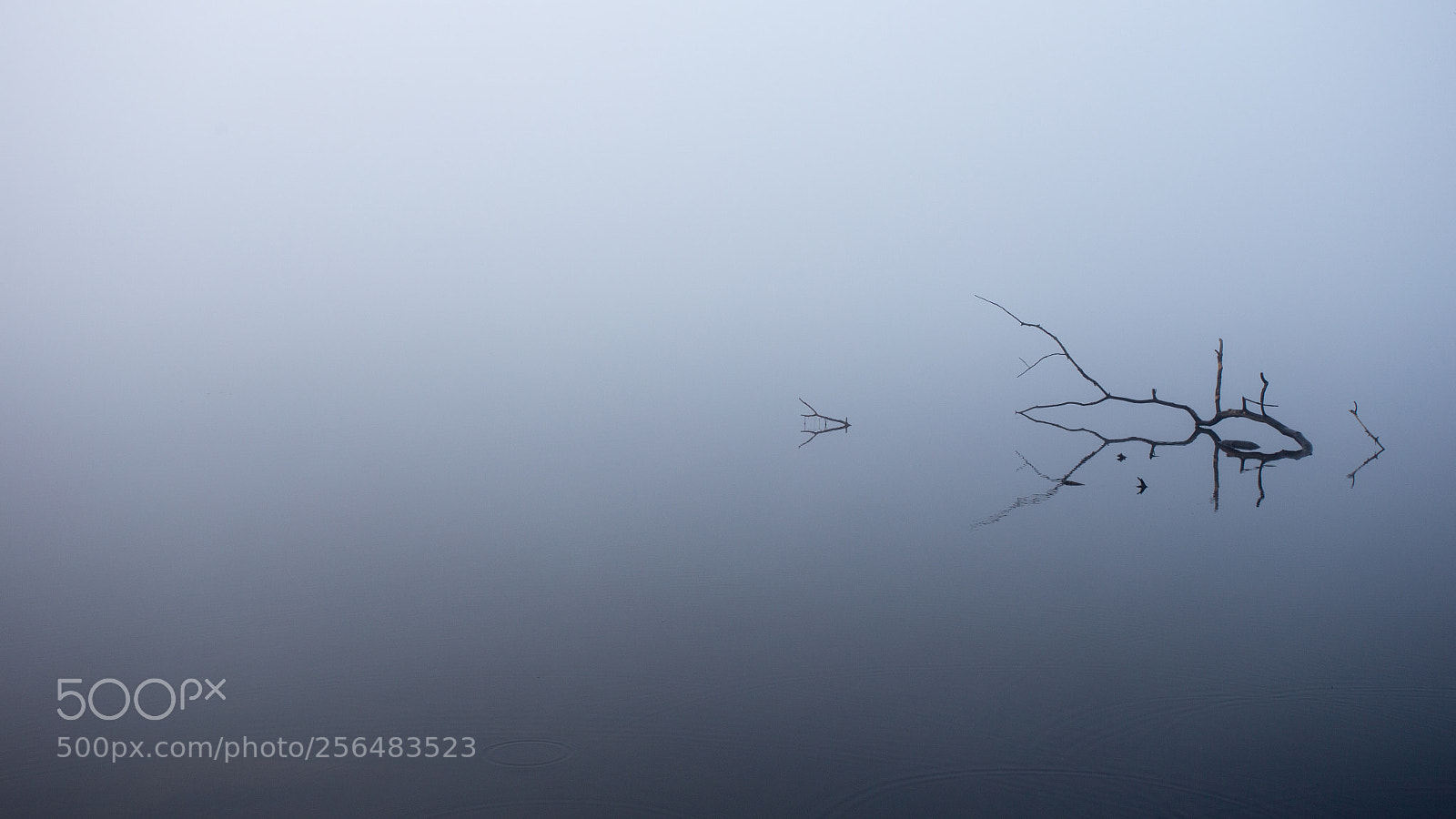 Canon EOS 6D sample photo. Reflective minimalism photography