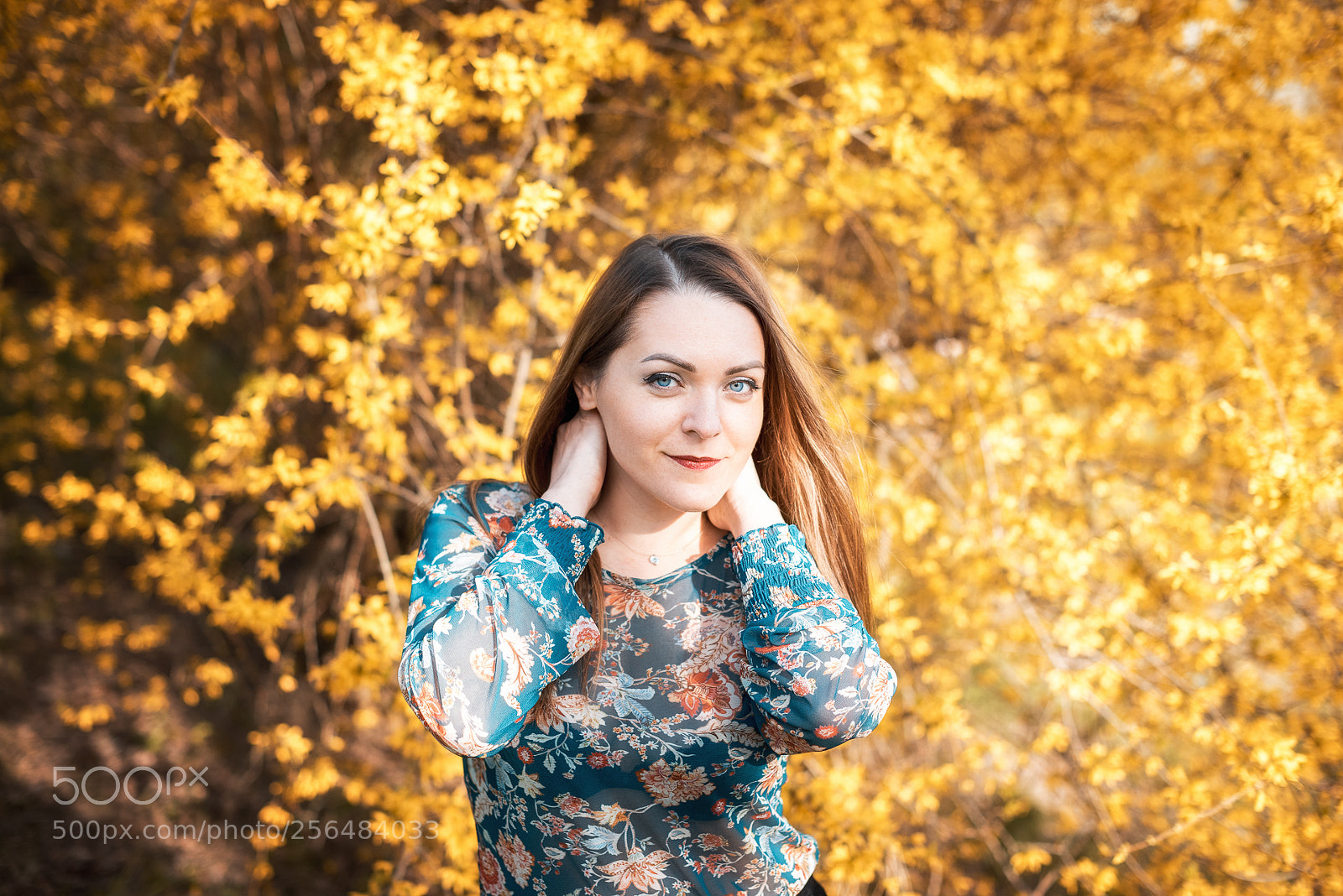 Nikon D750 sample photo. Yellow day :-) photography