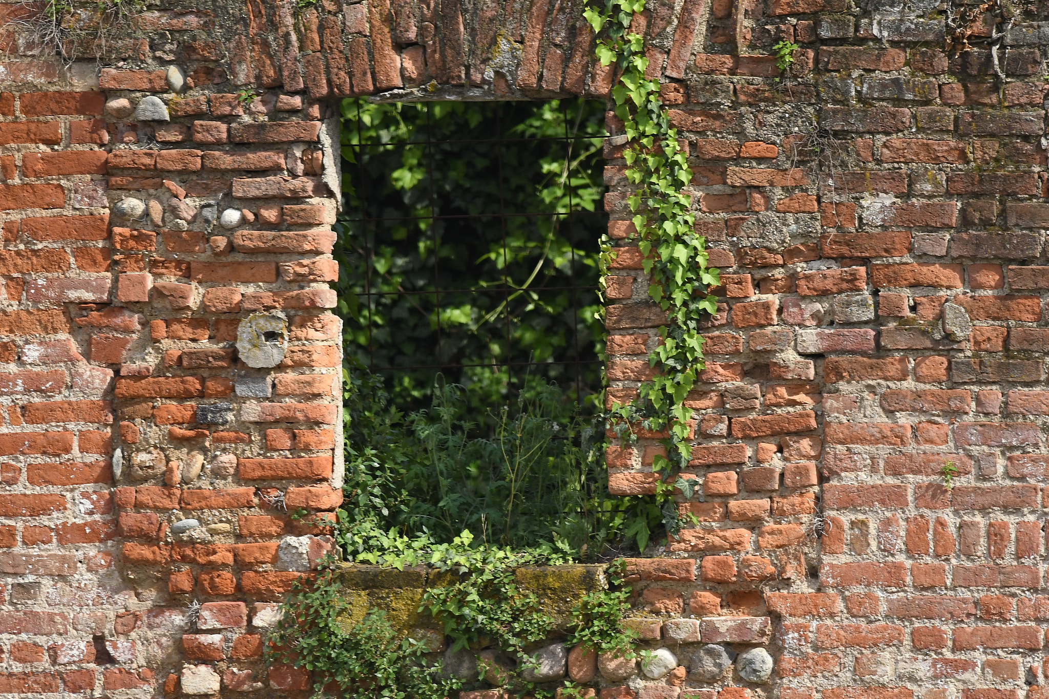Nikon D500 + Nikon AF-S Nikkor 300mm F4D ED-IF sample photo. Ancient bricks and young vegetation photography