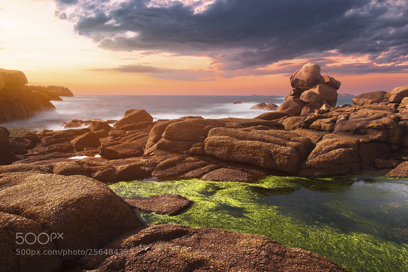 Nikon D610 sample photo. Sunset on ploumanach photography