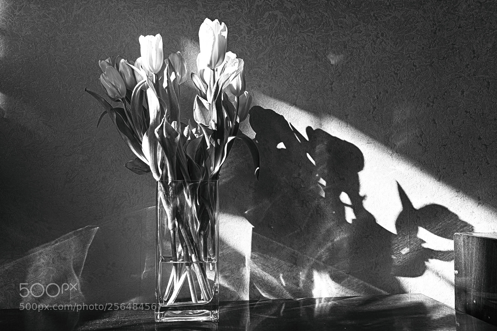Fujifilm X-T20 sample photo. Yellow tulips photography