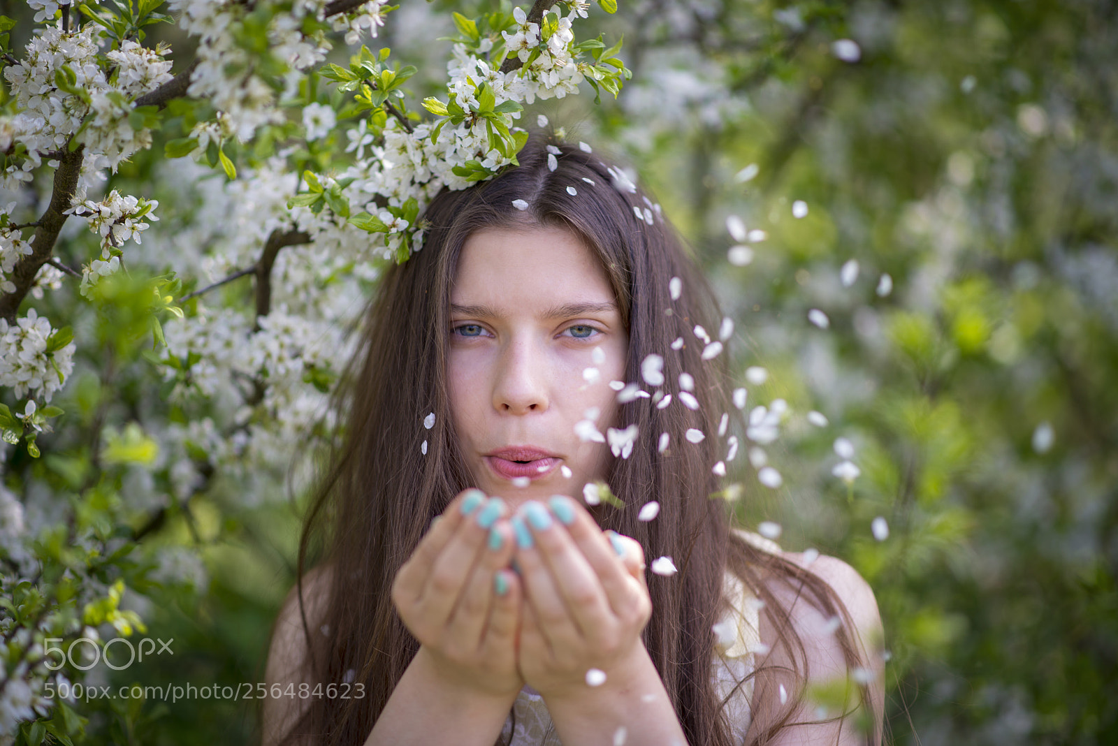 Nikon D610 sample photo. Andżela photography