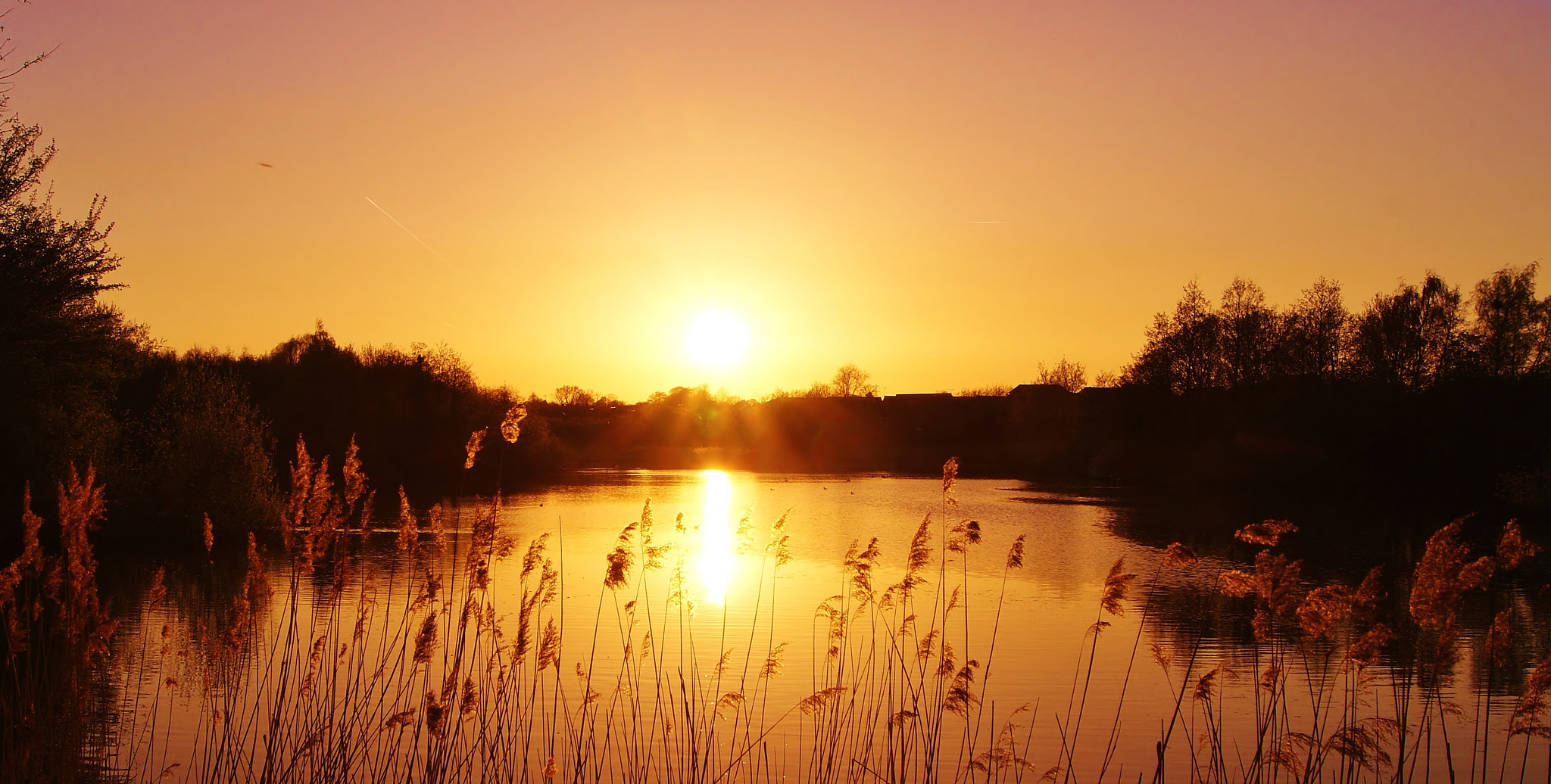 Sony Alpha DSLR-A380 sample photo. A golden sunset tone ... photography