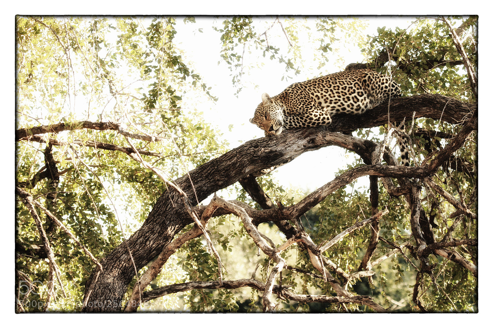 Canon EOS 7D sample photo. Relax with purpose photography