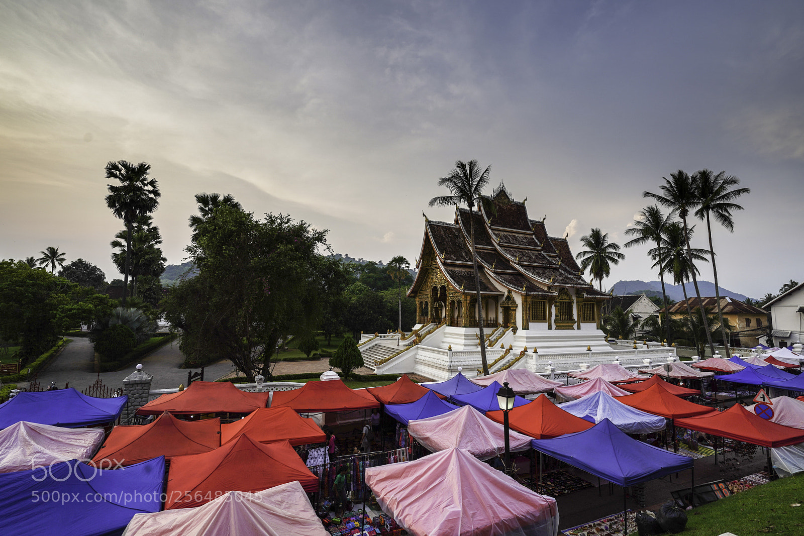 Sony a7 III sample photo. Dsc photography